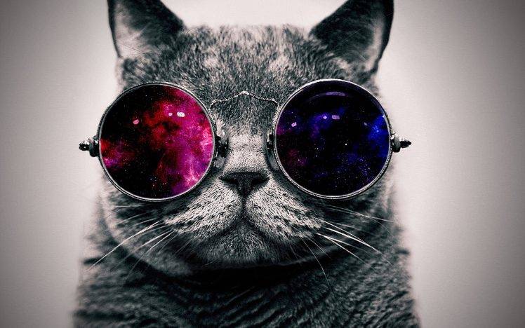 cat, Space, Abstract, Glasses HD Wallpaper Desktop Background