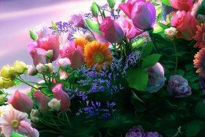 flowers, Bouquets, Rose, Daisies