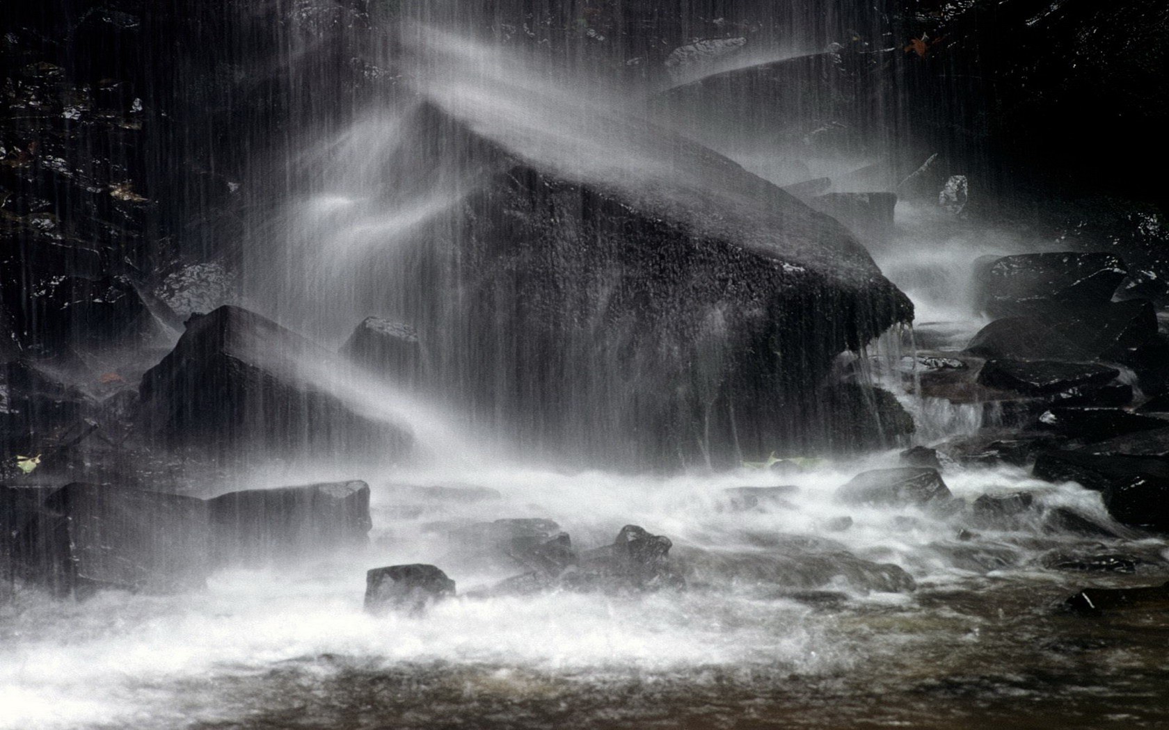 nature Wallpaper