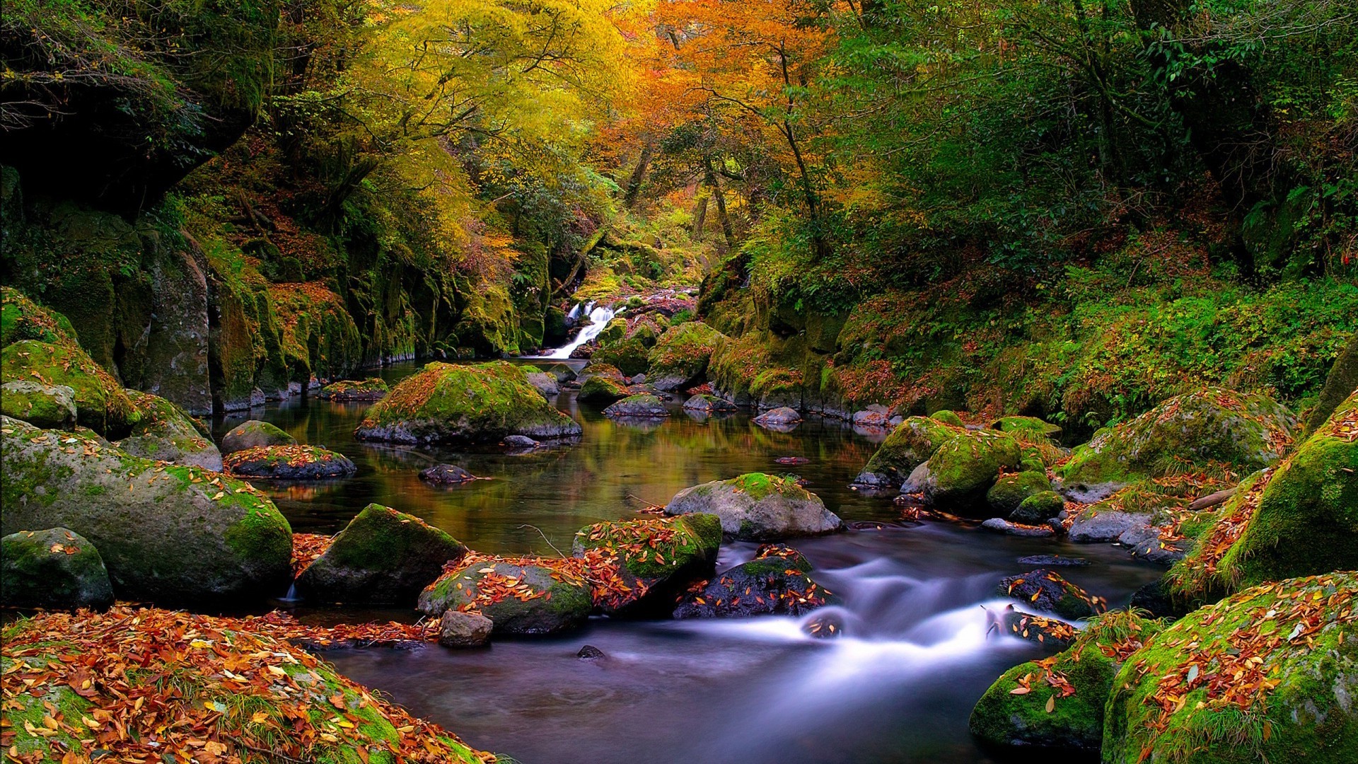 nature, Landscape Wallpaper
