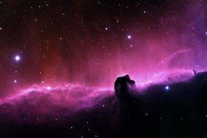 Horsehead Nebula, Nebula, Space, Stars