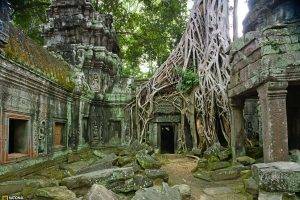 nature, Trees, Temple, Overgrown, National Geographic