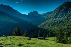 landscape, Nature, Valley, Trees, Pine Trees, Mountain, Forest, Sunlight, Field