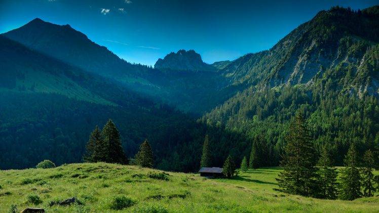 landscape, Nature, Valley, Trees, Pine Trees, Mountain, Forest, Sunlight, Field HD Wallpaper Desktop Background