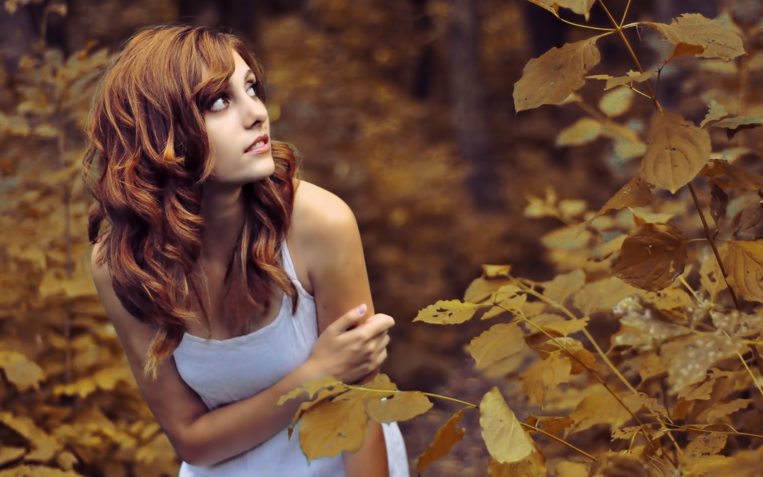 women, Leaves, Redhead, Nature Wallpapers HD / Desktop and Mobile ...