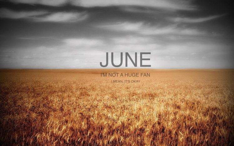 June, Field, Humor, Clouds HD Wallpaper Desktop Background