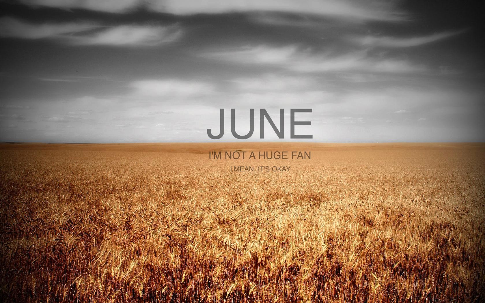 June, Field, Humor, Clouds Wallpaper