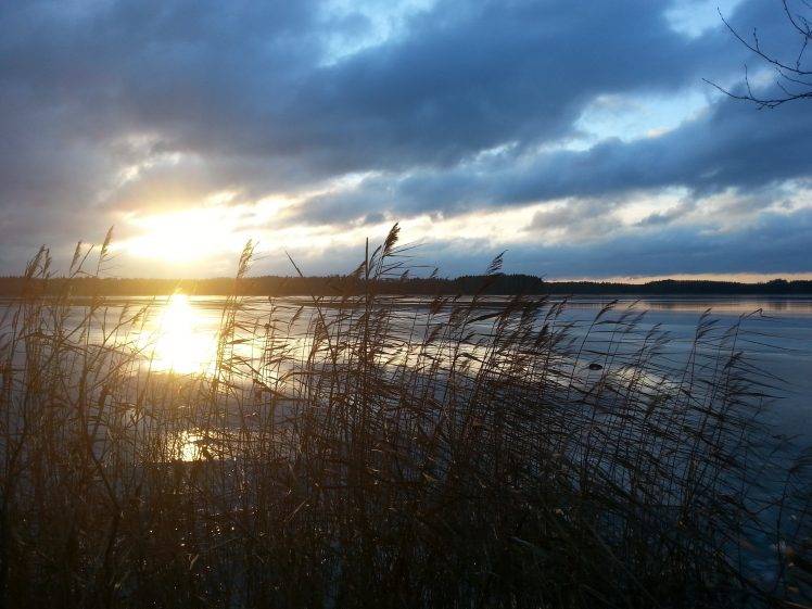 nature, Landscape, Reflection, Grass, Water, Lake, Sunset, Clouds, Sunlight HD Wallpaper Desktop Background