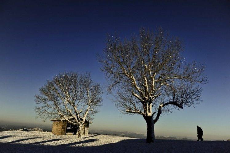 snow, Trees, Photography, Landscape HD Wallpaper Desktop Background