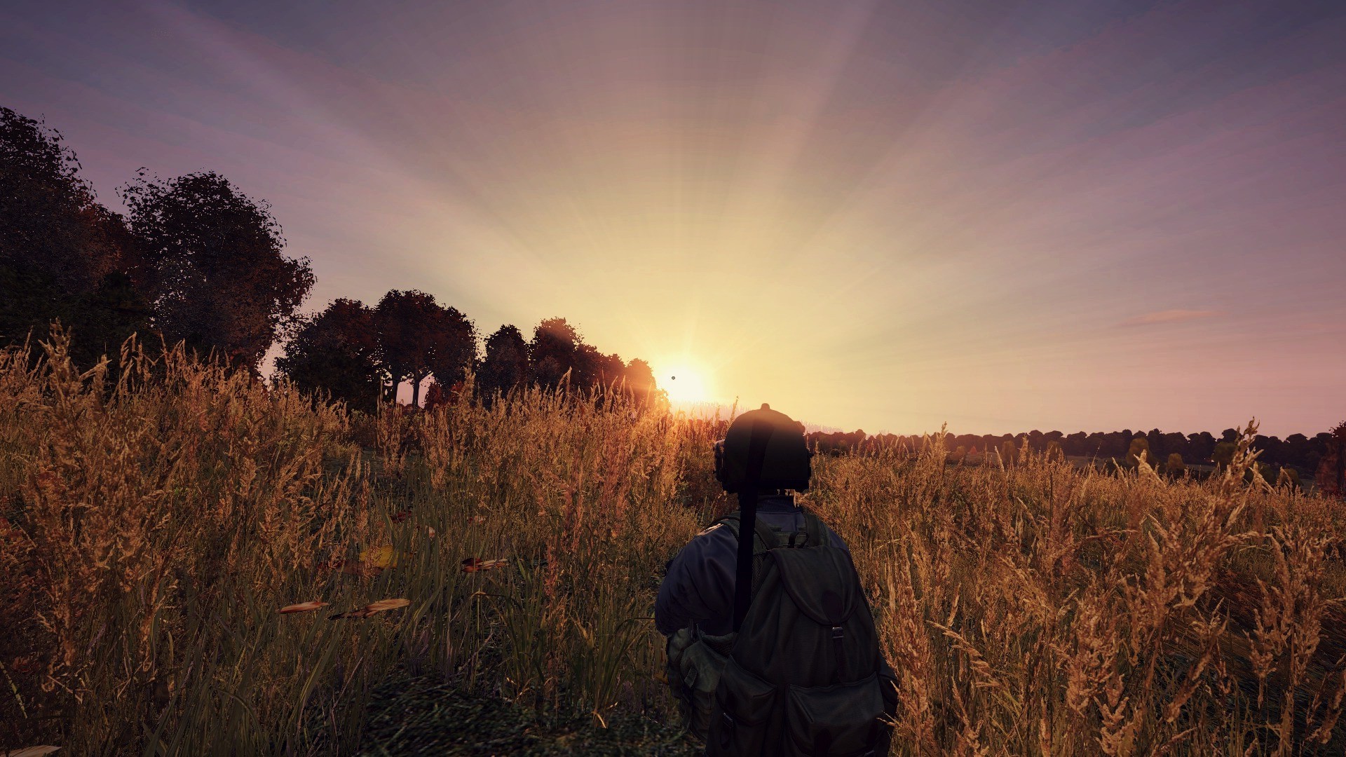 video Games, DayZ Wallpapers HD / Desktop and Mobile Backgrounds