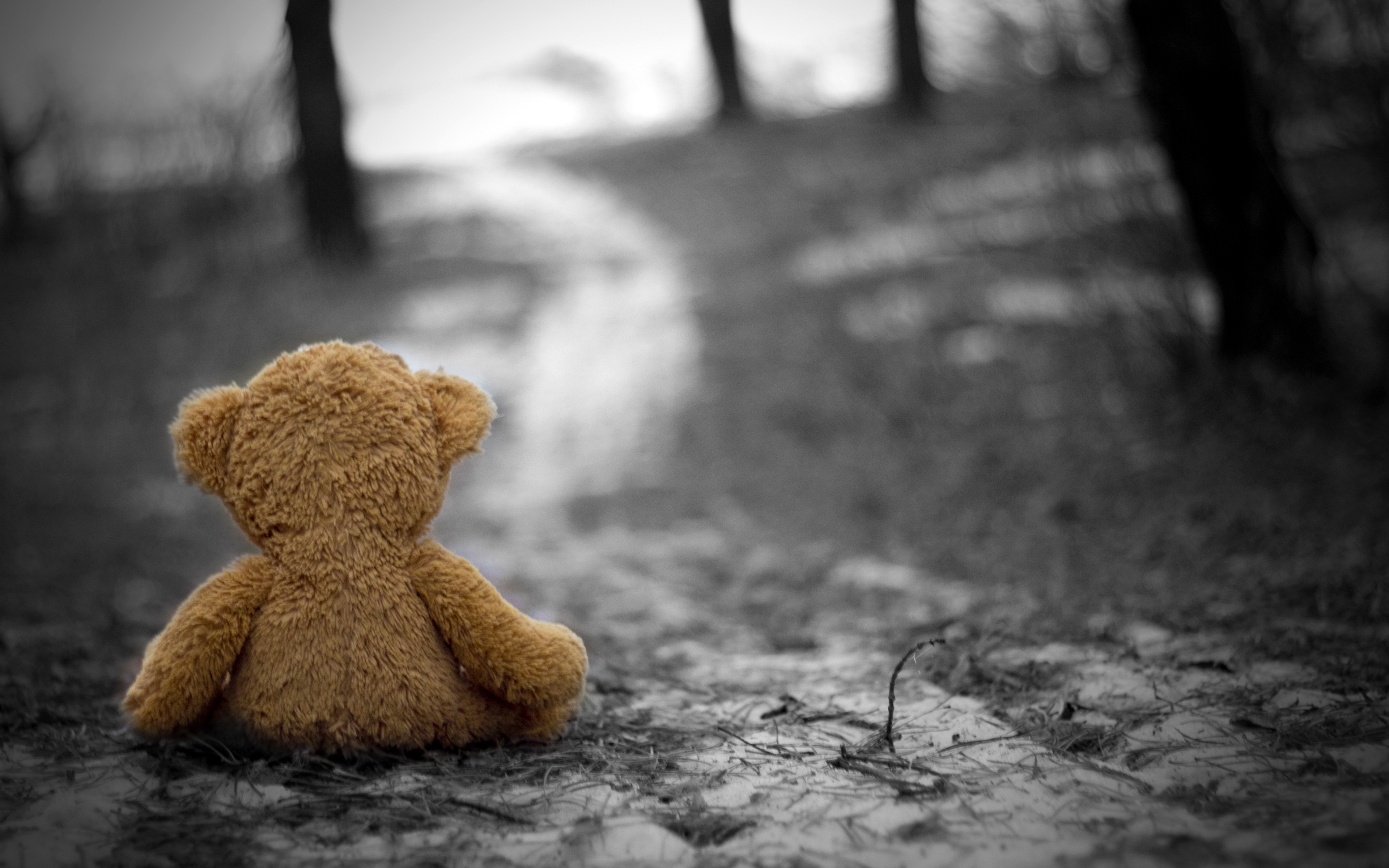 teddy Bears, Selective Coloring, Depth Of Field, Gloomy, Nature Wallpaper