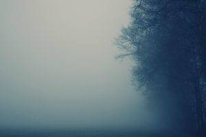 mist, Nature