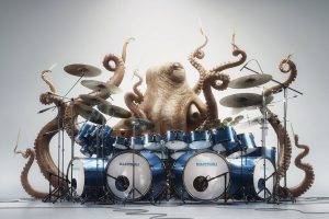 digital Art, Humor, Creativity, Animals, Drums, Drummer, Playing, Music, White Background, Octopus