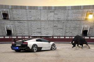 luxury Cars, Lamborghini, Bull