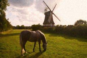oil Painting, Windmills, Horse, Landscape