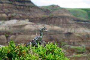 dinosaurs, Nature, Toys, Mountain, Depth Of Field