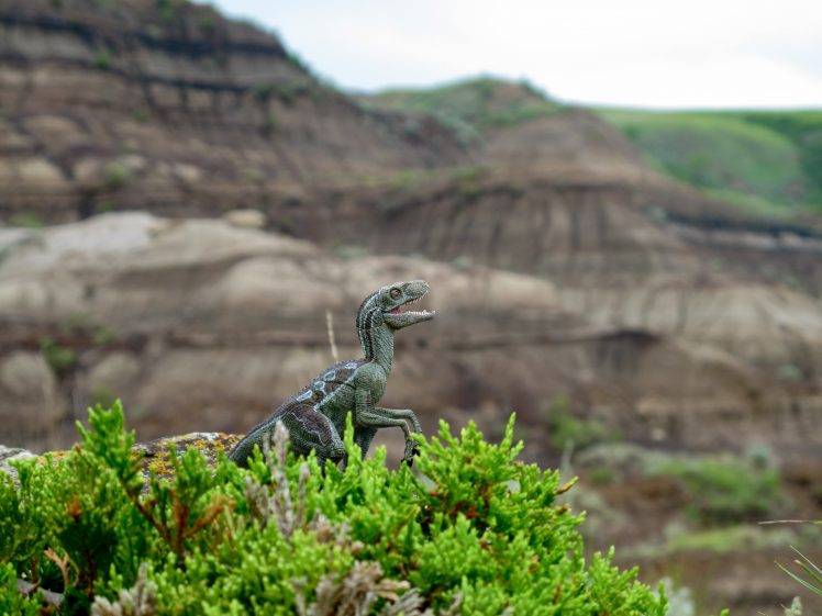 dinosaurs, Nature, Toys, Mountain, Depth Of Field HD Wallpaper Desktop Background