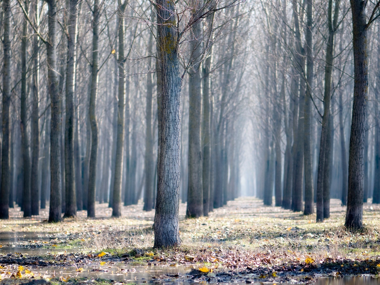 landscape, Nature Wallpaper