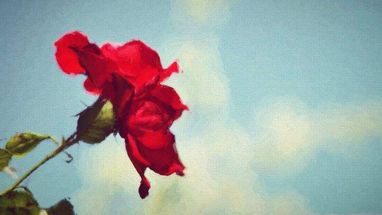 painting, Red Flowers, Flowers HD Wallpaper Desktop Background