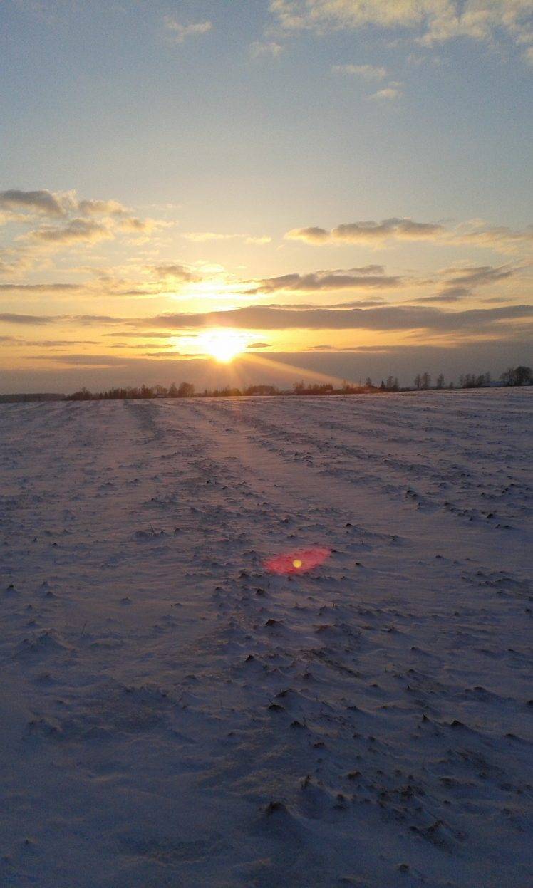 sunrise, Snow, Nature, Winter, Cold, Lithuania, Morning HD Wallpaper Desktop Background