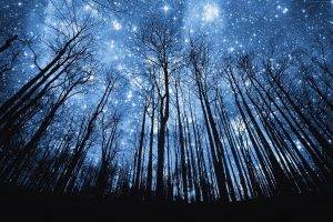 space, Stars, Trees, Silhouette, Forest