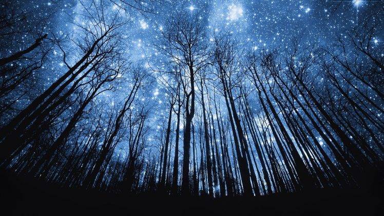 space, Stars, Trees, Silhouette, Forest HD Wallpaper Desktop Background