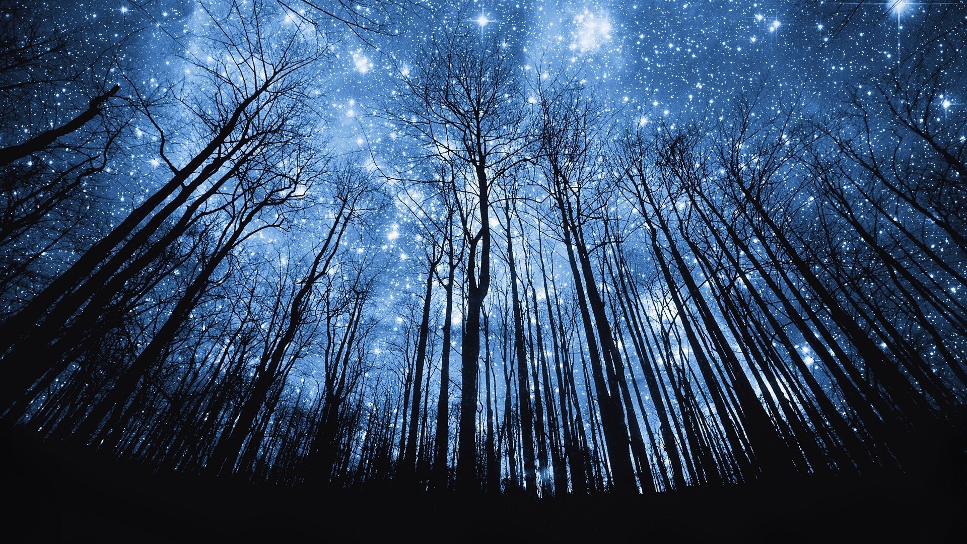 space, Stars, Trees, Silhouette, Forest Wallpaper