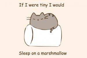humor, Marshmallows, Cat