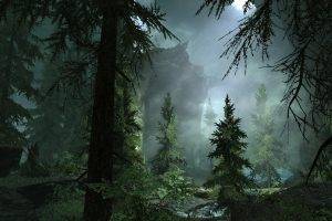 The Elder Scrolls V: Skyrim, Cave, Trees, Video Games, Screenshots