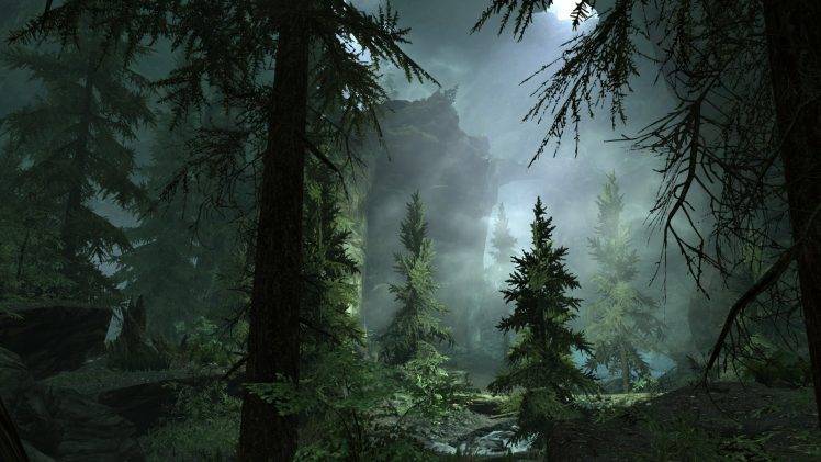 The Elder Scrolls V: Skyrim, Cave, Trees, Video Games, Screenshots HD Wallpaper Desktop Background