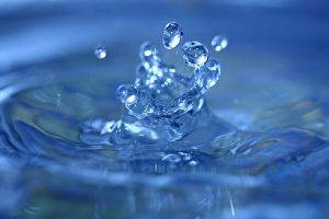 water, Nature, Macro, Water Drops
