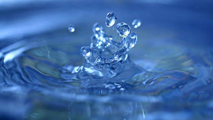 water, Nature, Macro, Water Drops HD Wallpaper Desktop Background