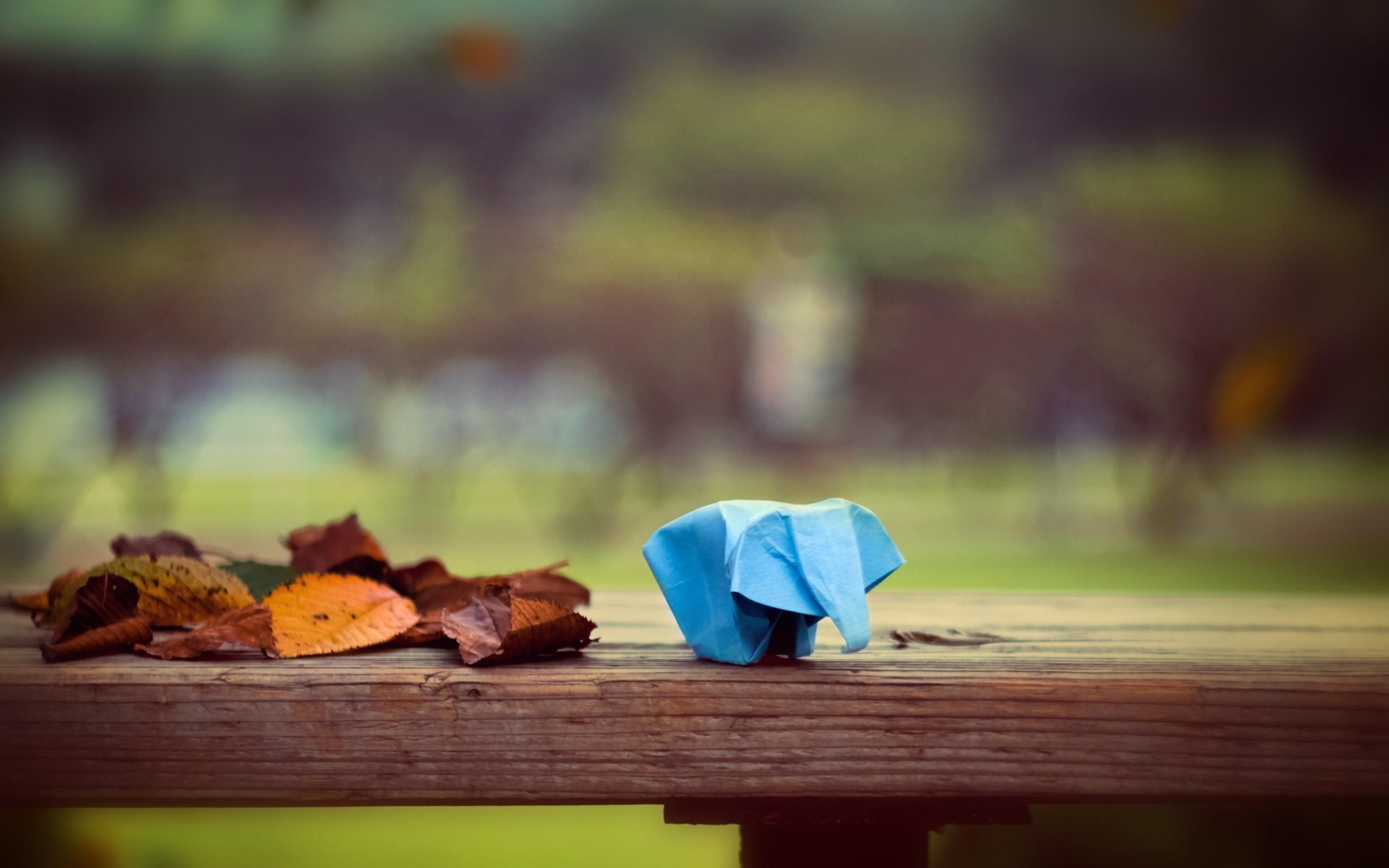 leaves, Fall, Depth Of Field, Animals, Origami, Elephants, Table, Trees, Park, Wood Wallpaper