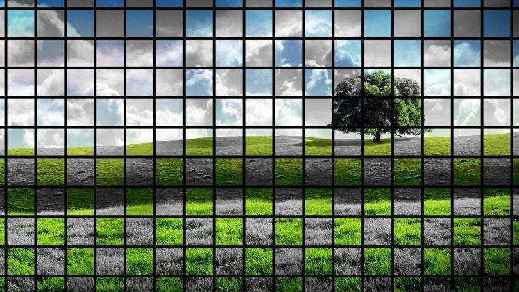 nature, Artwork, Trees, Landscape, Checkered HD Wallpaper Desktop Background