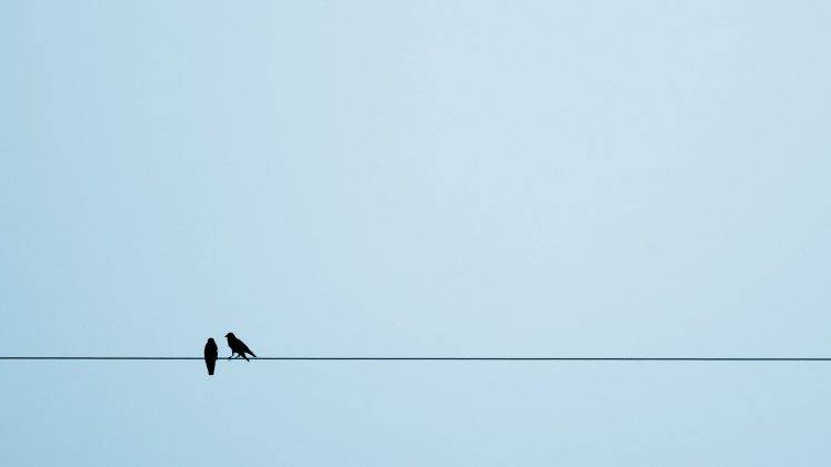 animals, Birds, European Magpie, Crow, Ropes, Simple Background, Silhouette HD Wallpaper Desktop Background