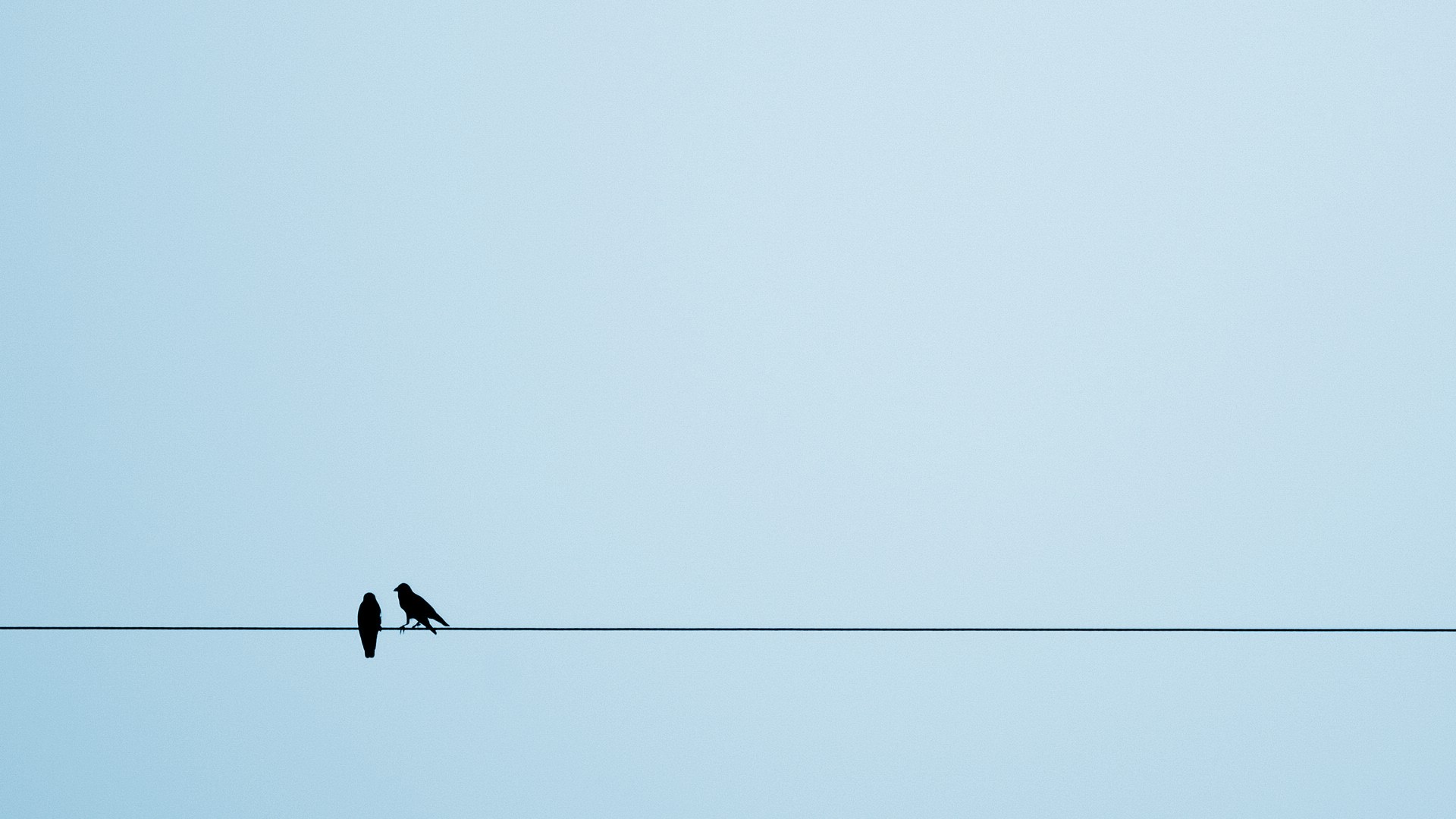 animals, Birds, European Magpie, Crow, Ropes, Simple Background, Silhouette Wallpaper