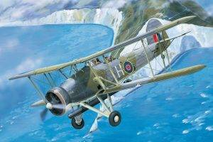 biplane, World War II, Airplane, Aircraft, War, Torpedo, Military, Military Aircraft, Royal Navy