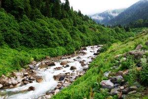 nature, Landscape, Turkey, River, Forest