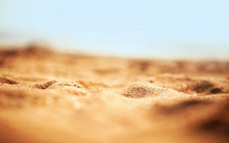 macro, Sand, Nature, Depth Of Field HD Wallpaper Desktop Background