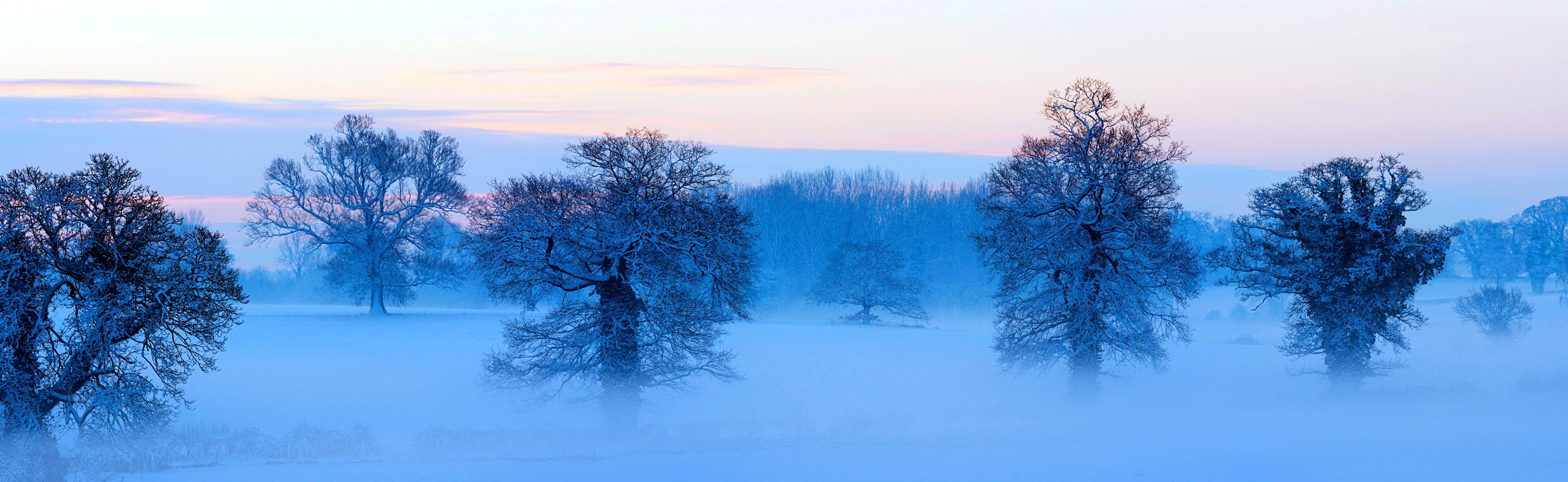 winter, Nature, Landscape, Trees, Seasons Wallpaper