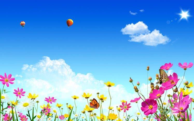 yellow Flowers, Cosmos (flower), Butterfly, Hot Air Balloons HD Wallpaper Desktop Background