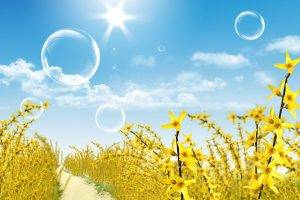 yellow Flowers, Flowers, Path, Bubbles, Sun, Forsythia
