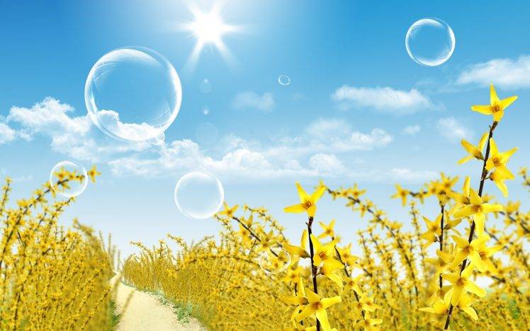 yellow Flowers, Flowers, Path, Bubbles, Sun, Forsythia HD Wallpaper Desktop Background