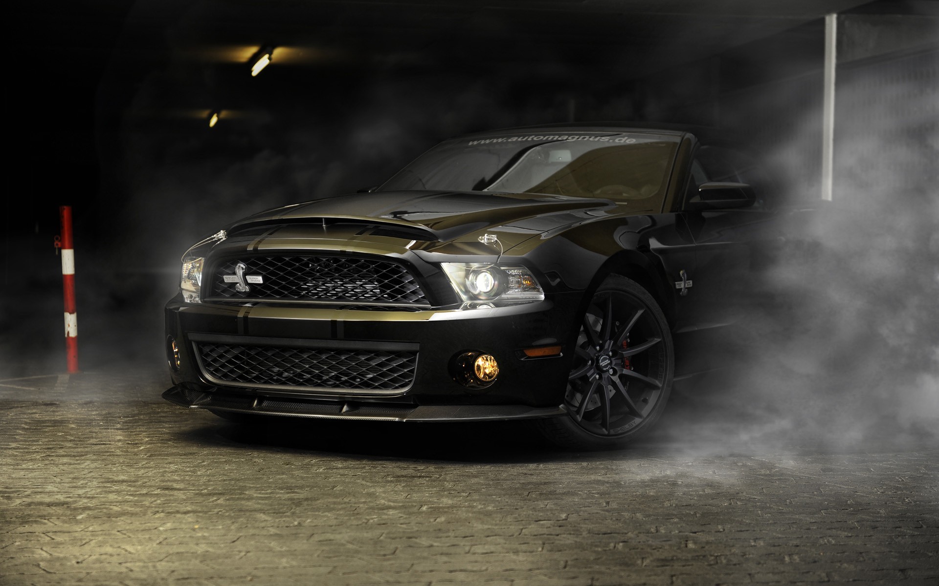 Shelby GT500 Super Snake, Shelby GT500, Ford Shelby GT500 Wallpaper
