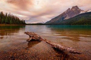 nature, Landscape, Water, Clouds, Canada, Lake, Dead Trees, Stones, Trees, Forest, Mountain, Snow