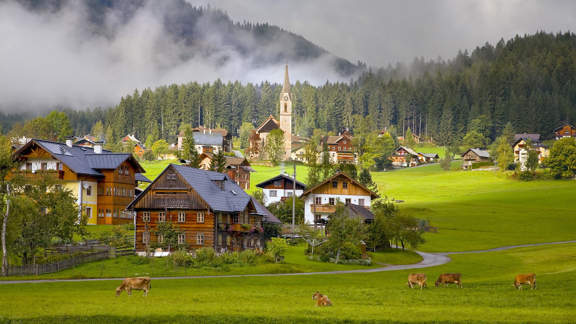 architecture, Town, Building, Austria, Wood, House, Church, Villages, Nature, Trees, Forest, Mist, Road, Animals, Cows, Grass Wallpaper