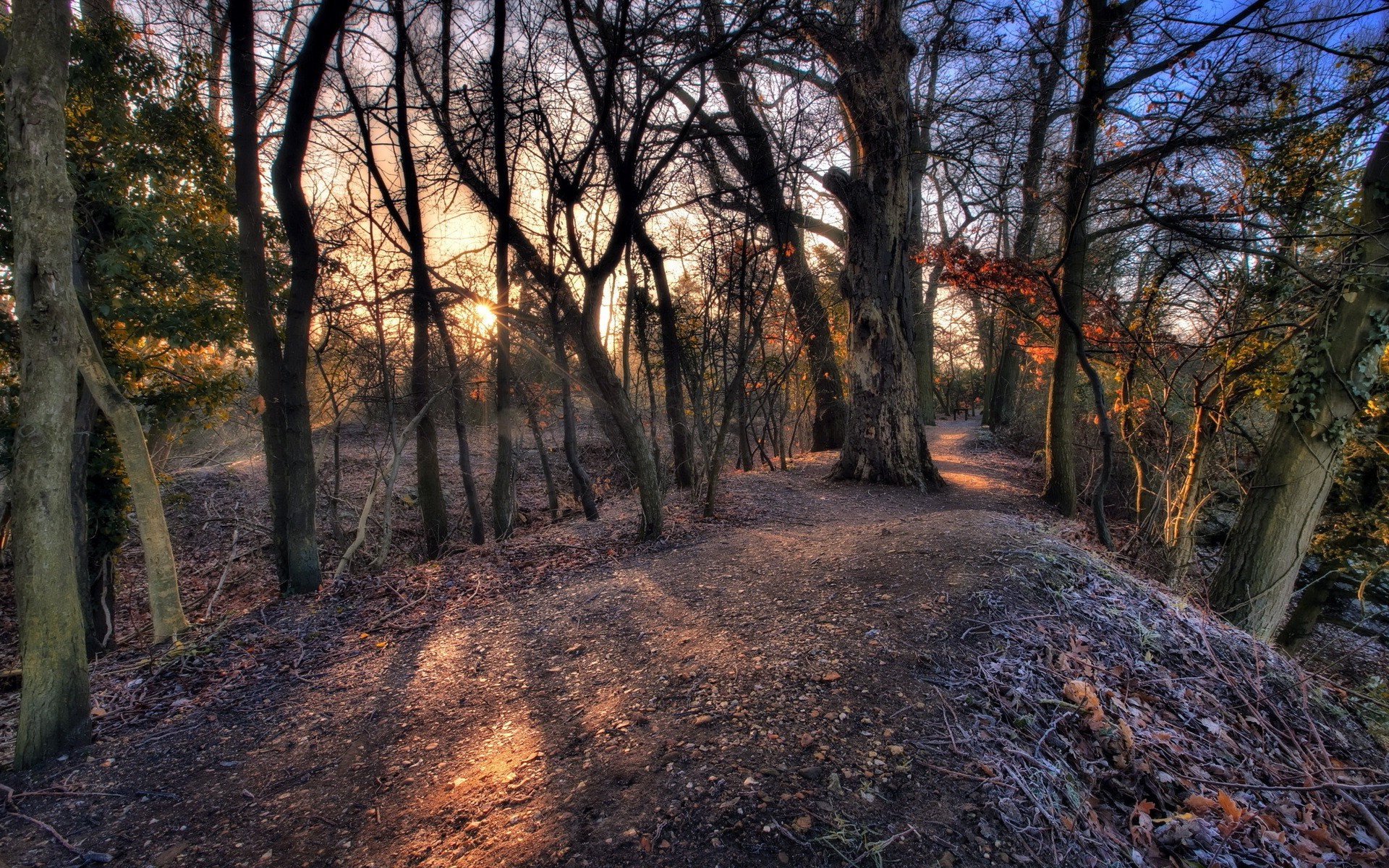 nature, Landscape Wallpaper