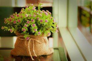 bag, Window, Window Sill, Flowers, Purple Flowers, Ropes