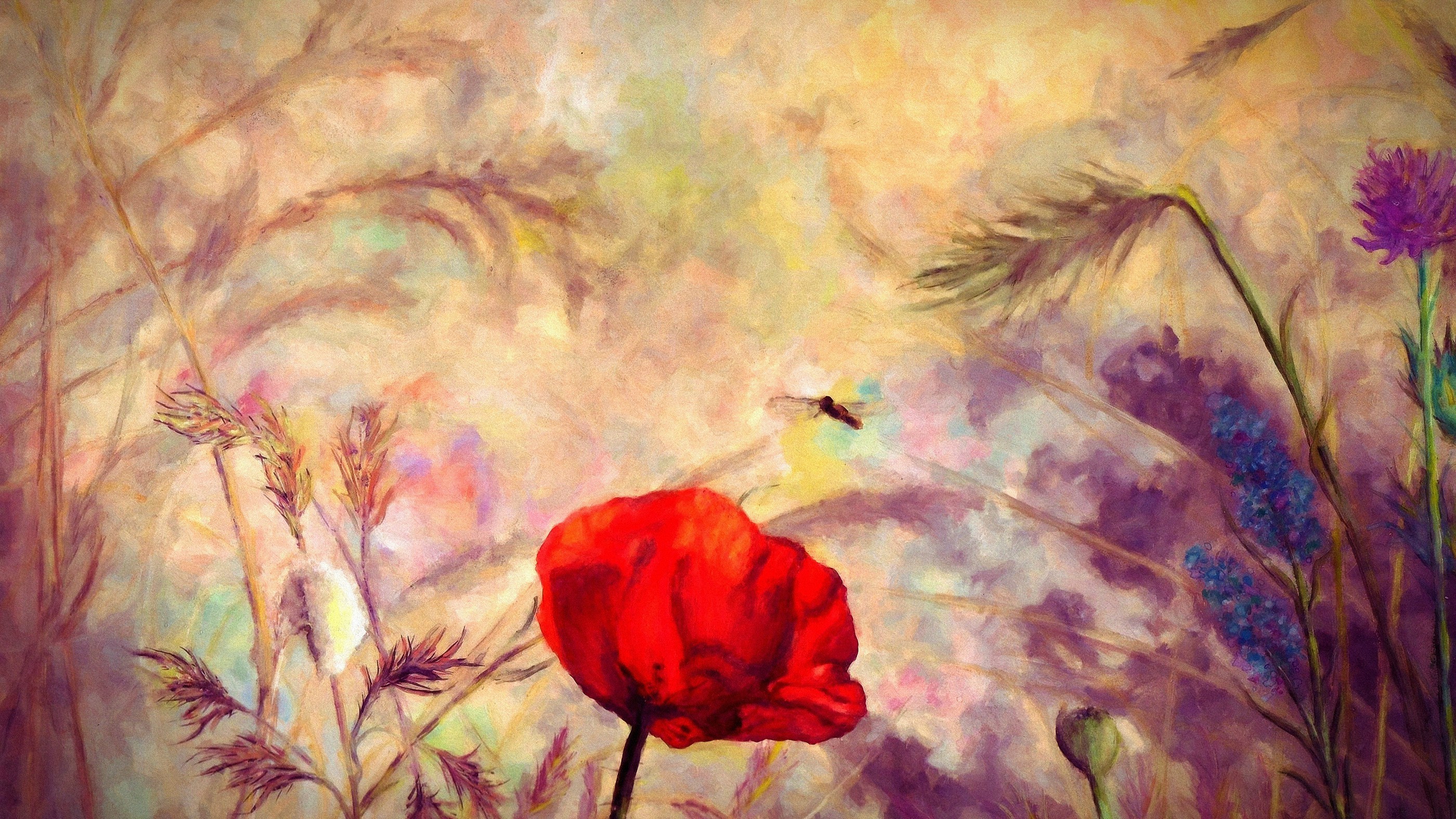 painting, Nature, Flowers, Poppies, Thistles Wallpaper
