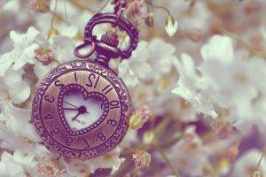 clocks, Flowers